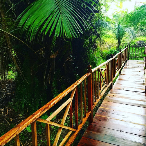 La forêt nous révélera ta véritable identité… J’espère que tu seras capable d’affronter ta peur du noir et de t’en affranchir tout(e) seul(e) la nuit tombée... Il n’y a pas d’eau courante… C’EST LA JUNGLE… L’électricité va et vient… Pour des raisons
