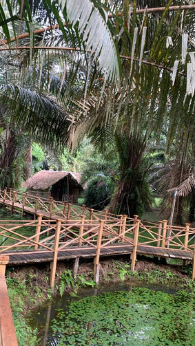 "L'Escale du Projet — Nuitée, petit déjeuner et consulting au lodge Oveng Lodge"