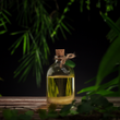 PLÉNITUDE | Rituel Corps